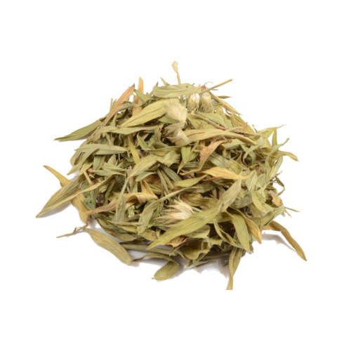 Maconha Brava (Zornia latifolia)